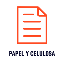 papel y celulosa